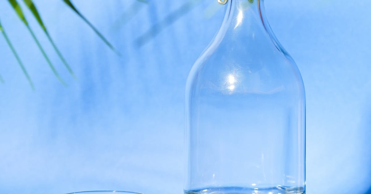 Historical Overview of Water Pitcher Filters