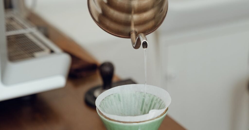 How to Choose the Right Whole House Water Filter for Your Home