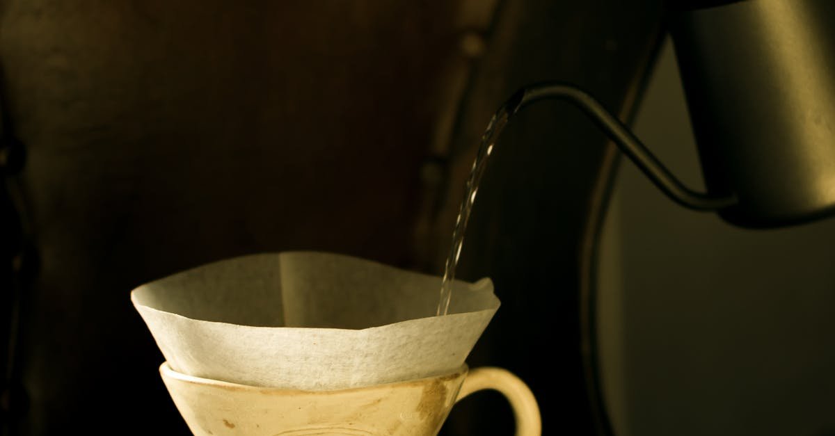 Roundup of Top Consumer Reviews for Brita and Pur Filters