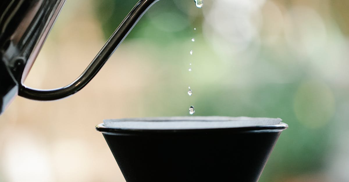 What Are the Best Filters for Enhancing Water Flavor