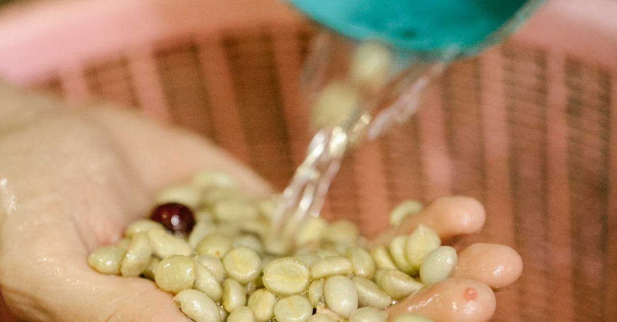 Why Water Filters Play a Role in Reducing Water Pollution